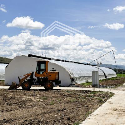 China Plastic Film Agricultural Greenhouse With High Insulation Automatic Air Circulation for sale