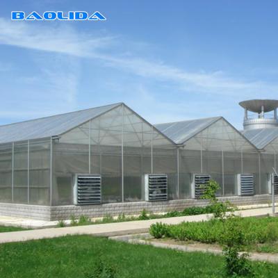 China Commercial Polycarbonate Sheet Greenhouse / PC Sheet Greenhouse Customized Material for sale