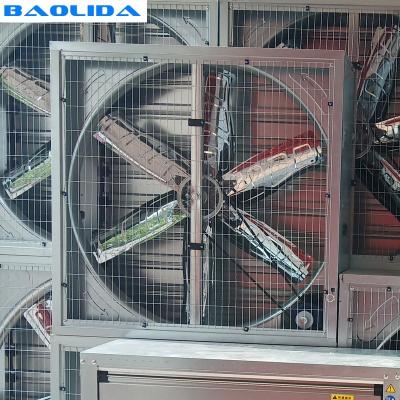 China Large Size Greenhouse Cooling System / Fan Pad Cooling System In Greenhouse Summer for sale