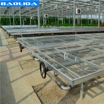 China Galvanized Greenhouse Rolling Benches / Greenhouse Benches And Tables for sale
