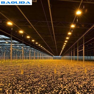China Agriculture Automated Blackout Greenhouse / Plastic Polythene Grow Tunnel for sale