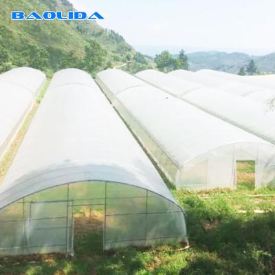 China Vegetable Single Span Greenhouse Polycarbonate Sheet Covering for sale
