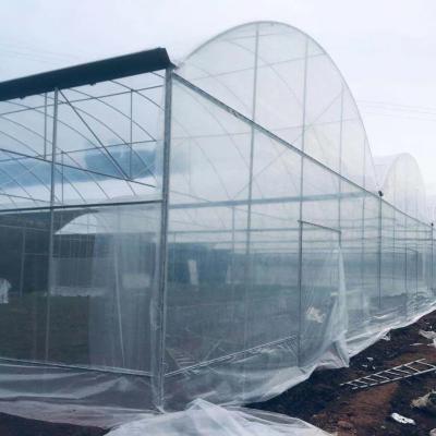 China Agricultural Polyethylene Foil Greenhouse Hot Galvanized Steel Structure Multi Span Greenhouse for sale