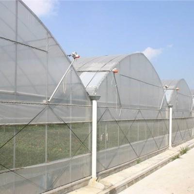 China Multi Span Polyethylene Film Greenhouse Large Scale Wide Application for sale
