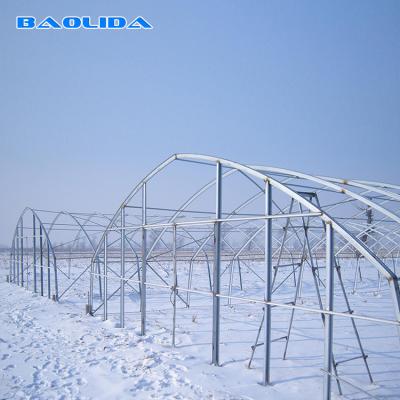 China Big Size Plastic Poly Tech Greenhouse / Agricultural Single Span Greenhouse for sale