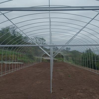 China Single Span Greenhouse Tunnel Plastic Film Covering Flower Vegetable Support for sale