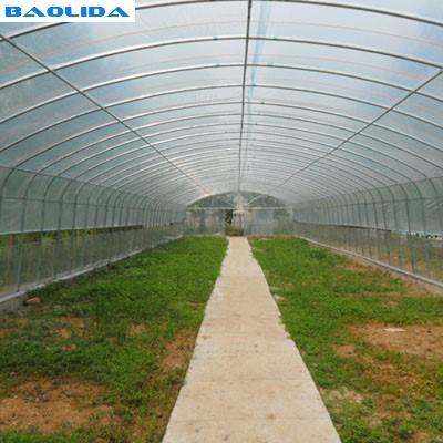 China Stable Structure Polyethylene Film Greenhouse / Vegetable Tomato Plant Greenhouse for sale