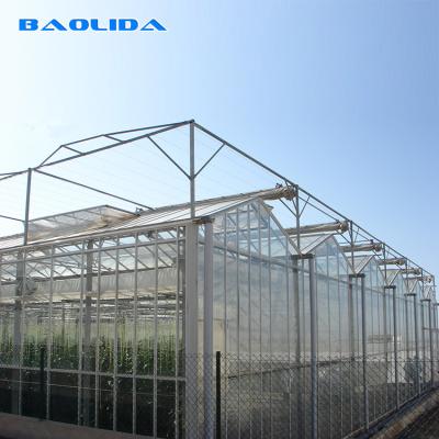China Multi Span PC Sheet Greenhouse Polycarbonate Covering Plant Growth Support for sale