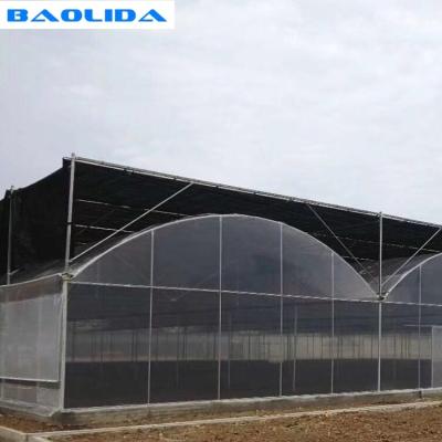 China Multi Span Mental Pipe Plastic Tomato Greenhouse Doom For Agriculture for sale