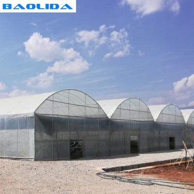 China Invernadero plástico fuerte de la estructura de tejado de la bóveda con el sistema que sombrea interior en venta
