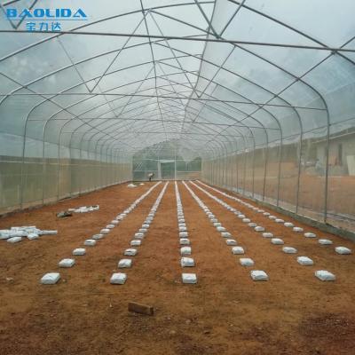China Single Span Polytunnel Greenhouse Kits Farming Small Or Large Size Optional for sale