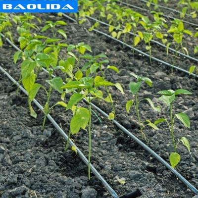 China Agricultural Greenhouse Irrigation System / Greenhouse Boom Irrigation Systems for sale