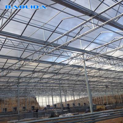 China Multi Span Venlo Type Greenhouse / PC Polyethylene Film Greenhouse Sides Ventilation for sale