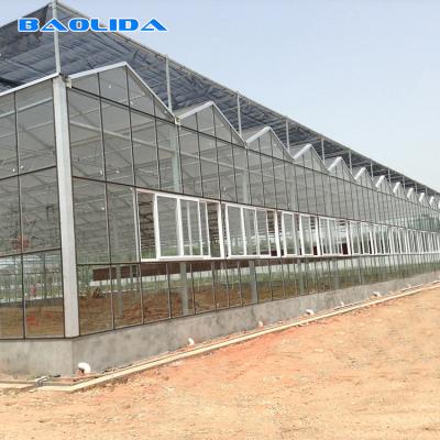China Gothic Venlo Type Greenhouse Agricultural Stable Structure Easily Assembled for sale