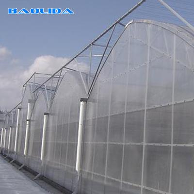 China Large Size Multi Span Greenhouse / Commercial Pe Film Greenhouse Sheet Cover for sale