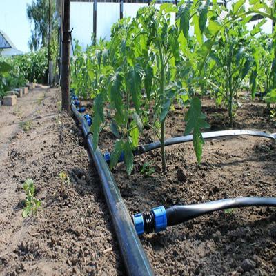 China Greenhouse Drip Irrigation System / Overhead Sprinkler System For Greenhouse for sale
