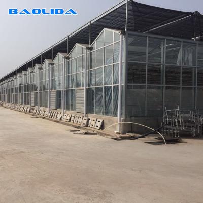 China Solar Polycarbonate Film Greenhouse / Agricultural PC Sheet Greenhouse for sale