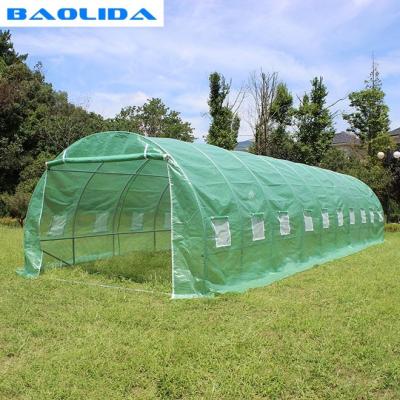 China Quick Install Film Greenhouse Tent Anti Insect Small Size Transparent for sale