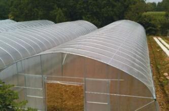 China Das Innengewächshaus-Zelt im Freien, das klein ist,/das Gemüse, wachsen Zelt-einfaches installiert zu verkaufen