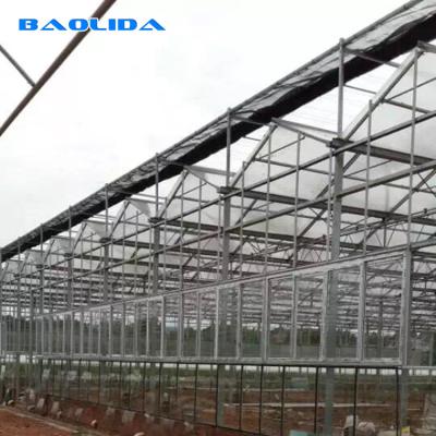 China Venlo Commercial Multi-Span Greenhouse Kits Steel Structure Polycarbonate Film Greenhouse for sale