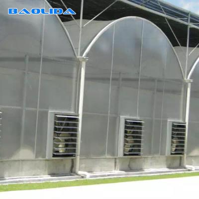 China Automatic System Multi-Span Greenhouse PC Polycarbonate Film Greenhouse Steel Structure for sale