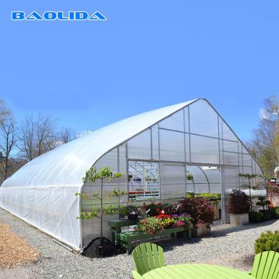 China Agricultural High Hoop Tent Greenhouse Steel Frame For Tomato Growth for sale