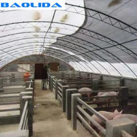 China Invernadero de acero galvanizado en baño caliente de las ovejas de la prenda impermeable del invernadero del túnel de la película de las aves de corral en venta
