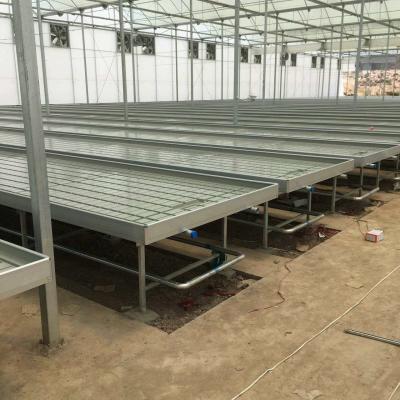 China Seedbed Ebb And Flow Rolling Benches Farming Agricultural Equipment Support for sale