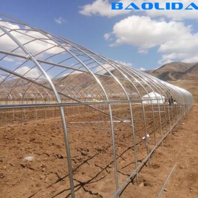 China Single Span Plastic Tunnel Greenhouse / windproof Poly Greenhouse Farming for sale