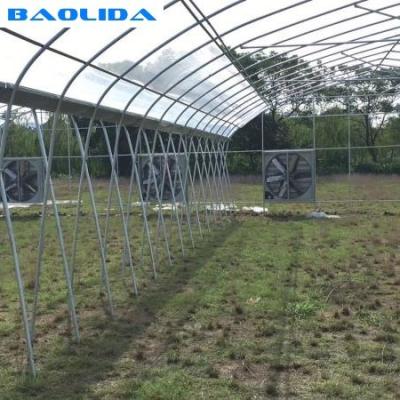 China Fan And Pad Greenhouse Cooling System Increase Air Cycle Easy Installed for sale