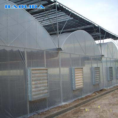 China Crop Multi span Greenhouse With Shading System Galvanized Steel Pipes Fittings for sale