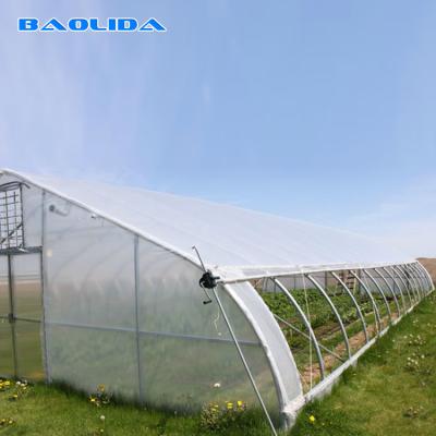 China Crops Hoop House Greenhouse / High Tunnel Hoop House Plastic Covering for sale