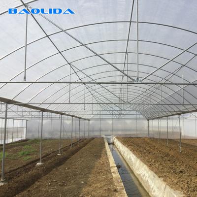 China Multi Span Frame Plastic Film Greenhouse For Vegetable Agricultural Animal for sale
