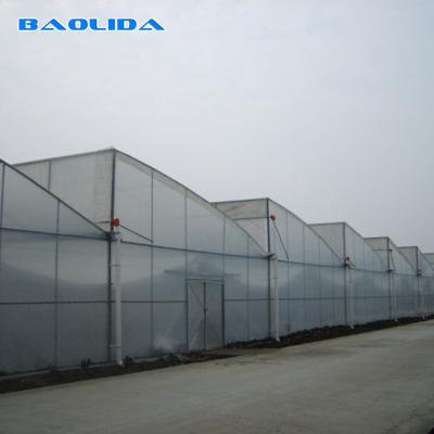 China Vegetable Polyethylene Plastic Sheeting Greenhouse Galvanized Steel Frame for sale