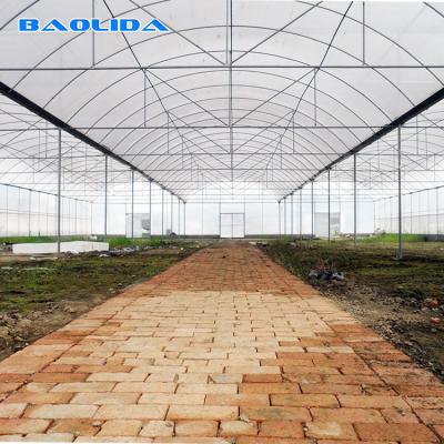 China Tomato Poly Natural Plastic Film Greenhouse / Polyethylene Foil Greenhouse for sale