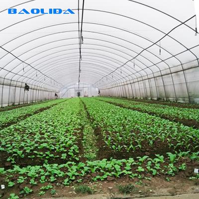 China Tunnel Plastic Film Greenhouse / Vegetable Greenhouse Climate Control Economical for sale