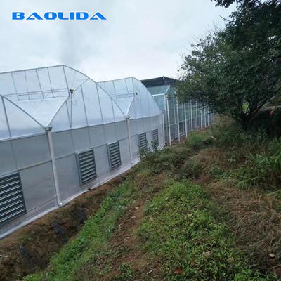 China Reinforced Plastic Sheeting Greenhouse For Tropical Climate Prefabricated for sale