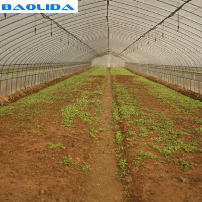 China Automatic System Plants Growing Farming Rigger Greenhouse Drip Irrigation System for sale