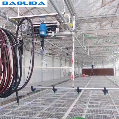 China Wheat Greenhouse Irrigation System / Black Polytunnel Irrigation Systems for sale