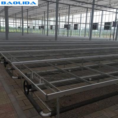 China Movable Greenhouse Rolling Benches Breeding Nursery Seedling Size Customized for sale