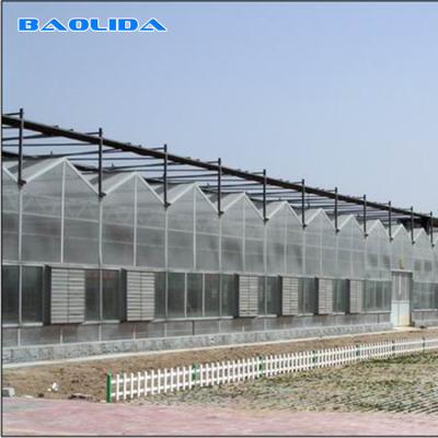 China Agricultural Venlo Style Greenhouse Flower Growth Good Waterproof Anti Age for sale