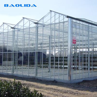 China Venlo Type Plastic Tunnel Greenhouse High Strong Structure ISO9001 Certificate for sale