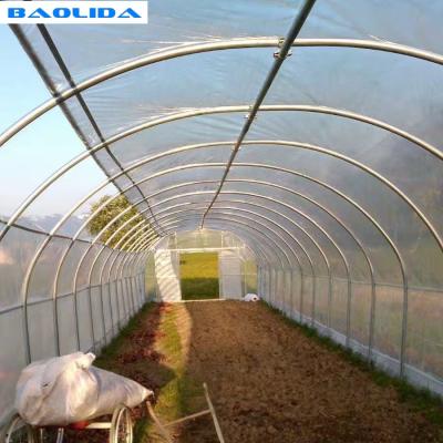 China Plastic Covering Polyethylene Film Greenhouse / Single Span Tunnel Flower Power Greenhouse for sale