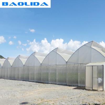 China Saw Tooth Roof Vents Plastic Film Greenhouse For Tropical Climate Special Design for sale