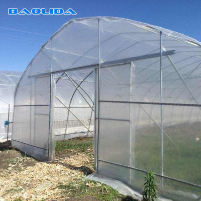 China Low Or High Tunnel Plastic Greenhouse Hot Dip Galvanized High Latitude Area for sale