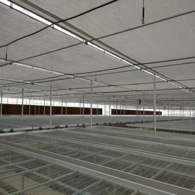中国 実生植物の養樹園のための農業装置の温室のベンチ システム 販売のため