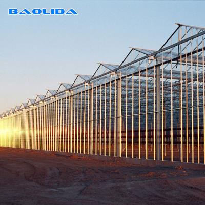 China Large Size Generator Plastic Sheet Greenhouse With Project Commercial Hydroponic Systems for sale