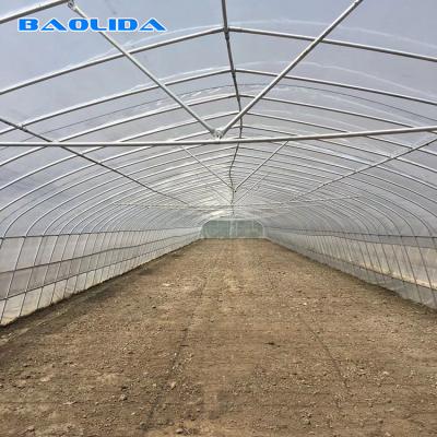 China Tomato Growing Naturally Ventilated Greenhouse Plastic Film Greenhouse for sale