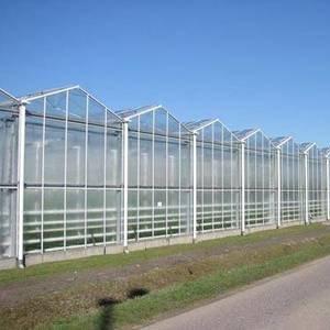 Chine Type transparent agricole serre chaude de Venlo pour des fleurs de fruits à vendre