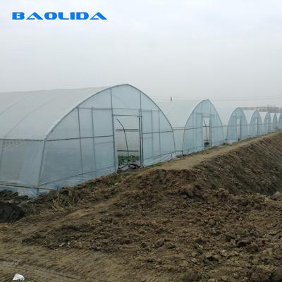 China High Hoop Tunnel Polyethylene Film Greenhouse For Agriculture for sale